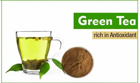 The Antioxidant Power of Green Tea Extract Powder